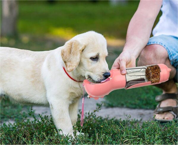 3-in-1 Portable Dog Water Bottle for Travel & Feeding